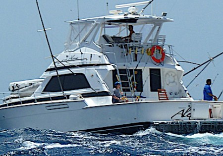 Fishing Charters